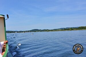 chiemsee (35)_JPG