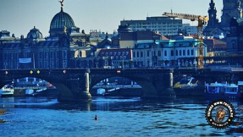 dresden (113)_jpg