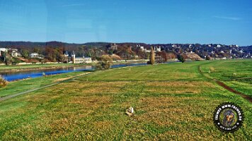 dresden (240)_jpg