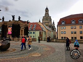 IMG_20230217_113339_844_jpg