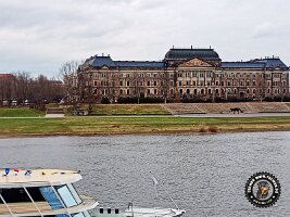 IMG_20230217_113624_405_jpg