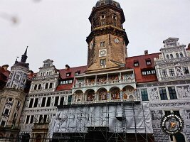 IMG_20230218_113042_535_jpg