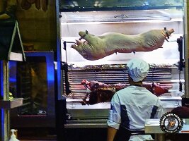 IMG_20230218_120259_138_jpg