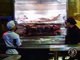 IMG_20230218_120304_140_jpg