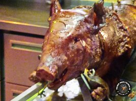 IMG_20230218_120801_345_jpg