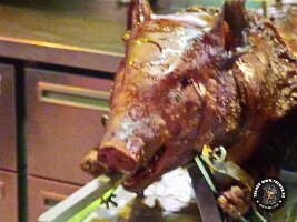 IMG_20230218_120802_341_jpg