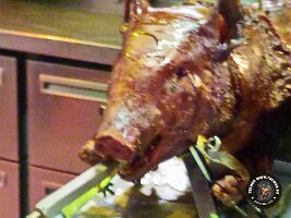 IMG_20230218_120803_152_jpg