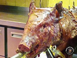 IMG_20230218_120812_715_jpg