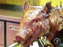 IMG_20230218_120813_234_jpg