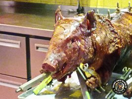 IMG_20230218_120817_368_jpg