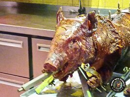 IMG_20230218_120818_237_jpg