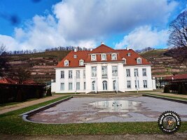 IMG_20230219_135027_367_jpg