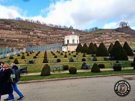 IMG_20230219_135239_667_jpg