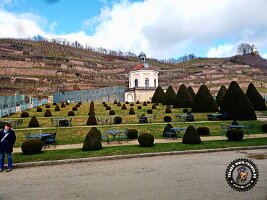 IMG_20230219_135240_821_jpg