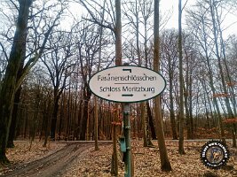 IMG_20230221_100145_603_jpg