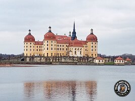 IMG_20230221_113952_769_jpg