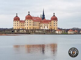 IMG_20230221_113955_856_jpg