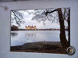 IMG_20230221_114116_108_jpg