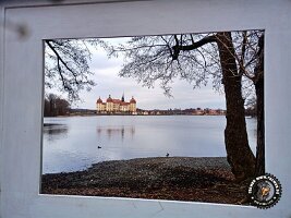 IMG_20230221_114117_388_jpg