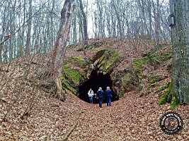 IMG_20230221_115439_374_jpg