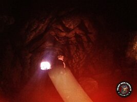 IMG_20230221_115545_122_jpg