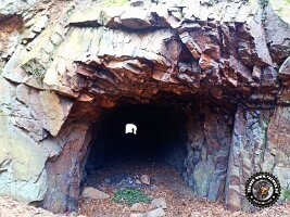 IMG_20230221_115759_450_jpg