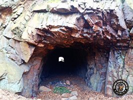 IMG_20230221_115800_263_jpg