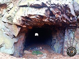 IMG_20230221_115801_039_jpg