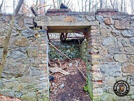 IMG_20230221_115906_143_jpg