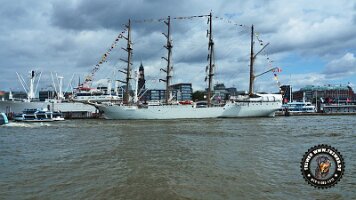 hamburg (262)
