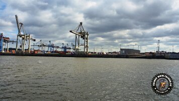 hamburg (99)