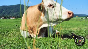 berchtesgaden_koenigsee_inzell20062022 (11)_JPG