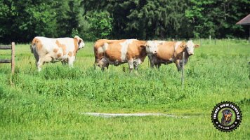 berchtesgaden_koenigsee_inzell20062022 (14)_JPG