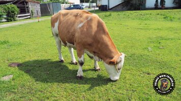 berchtesgaden_koenigsee_inzell20062022 (18)_JPG