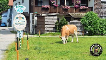 berchtesgaden_koenigsee_inzell20062022 (20)_JPG