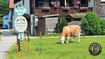 berchtesgaden_koenigsee_inzell20062022 (21)_JPG