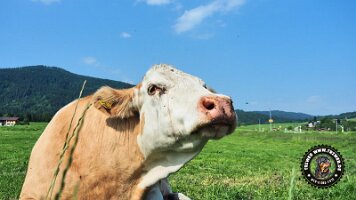 berchtesgaden_koenigsee_inzell20062022 (3)_JPG