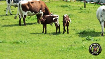 berchtesgaden_koenigsee_inzell20062022 (33)_JPG