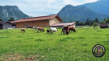 berchtesgaden_koenigsee_inzell20062022 (35)_JPG