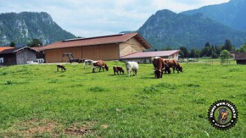 berchtesgaden_koenigsee_inzell20062022 (36)_JPG