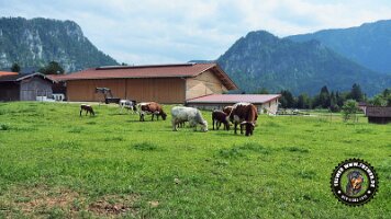 berchtesgaden_koenigsee_inzell20062022 (37)_JPG