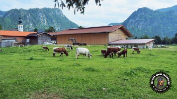 berchtesgaden_koenigsee_inzell20062022 (39)_JPG