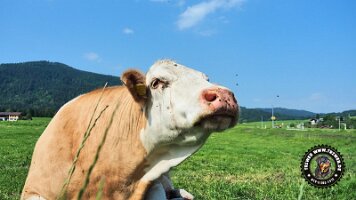 berchtesgaden_koenigsee_inzell20062022 (4)_JPG