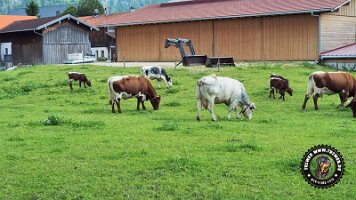 berchtesgaden_koenigsee_inzell20062022 (41)_JPG