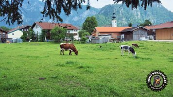 berchtesgaden_koenigsee_inzell20062022 (42)_JPG