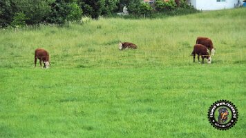 berchtesgaden_koenigsee_inzell20062022 (48)_JPG