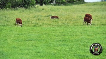 berchtesgaden_koenigsee_inzell20062022 (49)_JPG