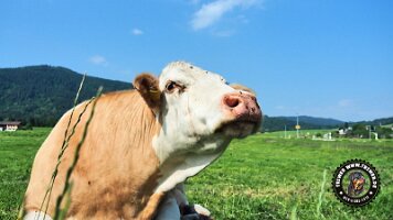 berchtesgaden_koenigsee_inzell20062022 (5)_JPG