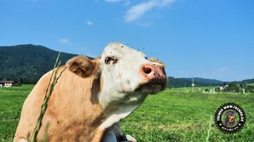 berchtesgaden_koenigsee_inzell20062022 (6)_JPG