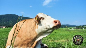 berchtesgaden_koenigsee_inzell20062022 (7)_JPG